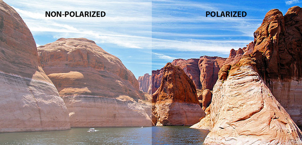 Aviator Sunglasses-Frame Aviator--SG Aviator Sunglasses-Frame Aviator--SG