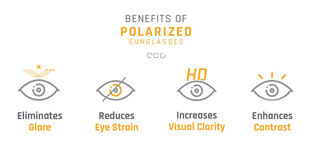 Aviator Sunglasses-Frame Aviator--SG Aviator Sunglasses-Frame Aviator--SG