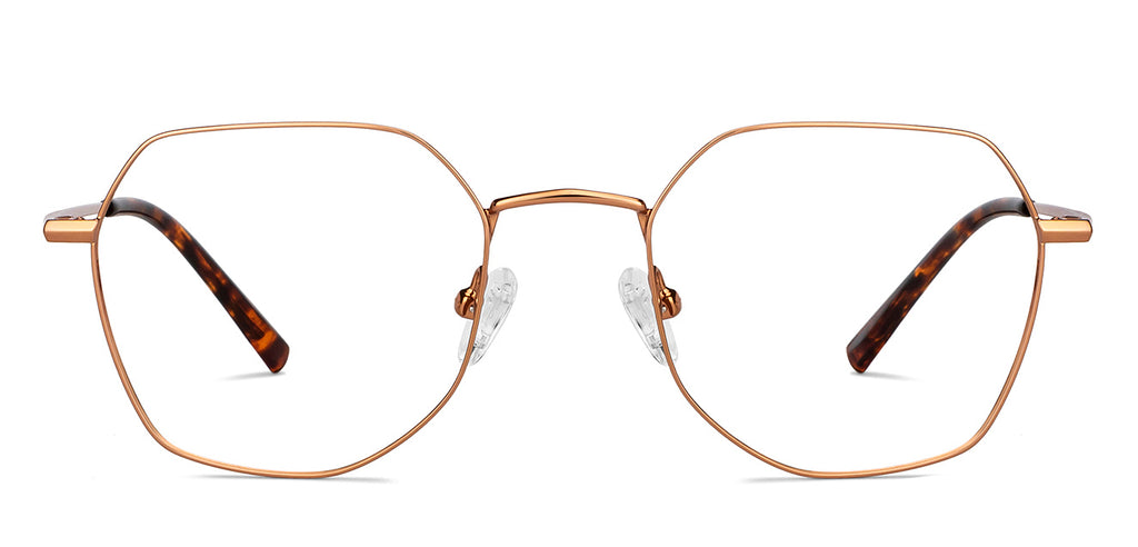 -Frame Geometric--EG -Frame Geometric--EG