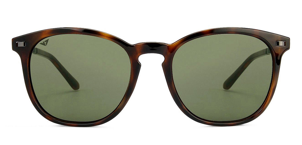 -Frame Wayfarer--SG -Frame Wayfarer--SG