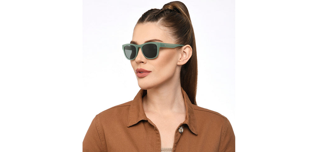 -Frame Wayfarer--SG -Frame Wayfarer--SG