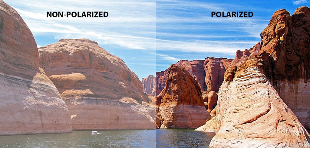 John Jacobs Sunglasses-Frame Square--SG John Jacobs Sunglasses-Frame Square--SG