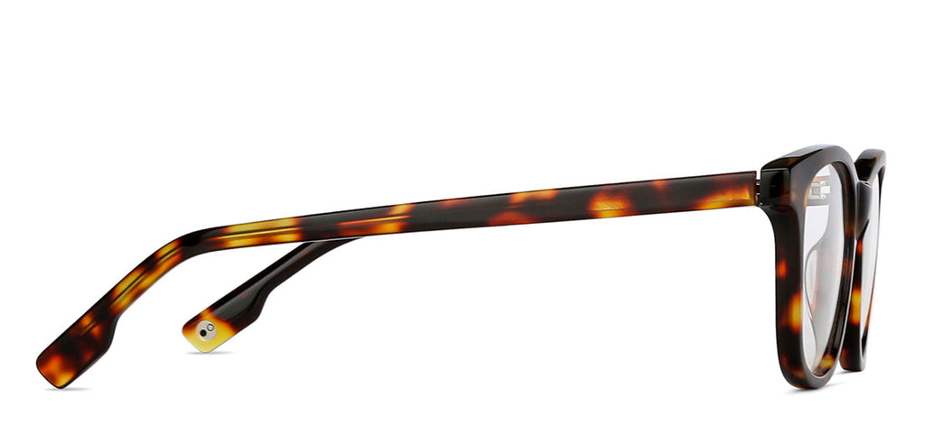 John Jacobs Eyeglasses-Frame Wayfarer--EG John Jacobs Eyeglasses-Frame Wayfarer--EG