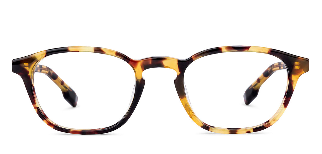-Frame Wayfarer--EG -Frame Wayfarer--EG