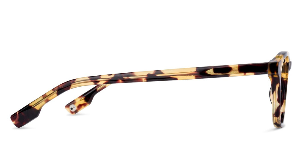 -Frame Wayfarer--EG -Frame Wayfarer--EG