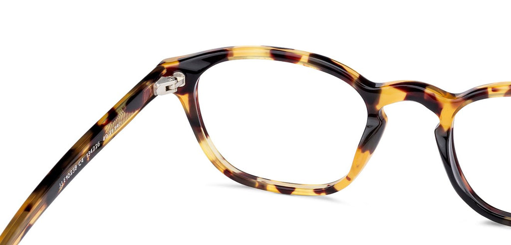 -Frame Wayfarer--EG -Frame Wayfarer--EG