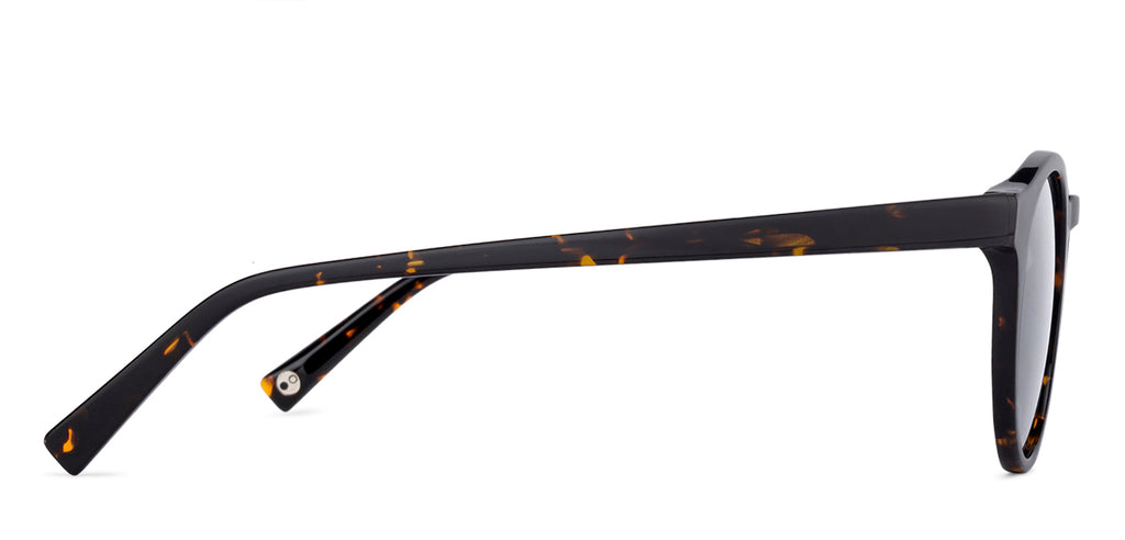 Sunglasses For Men-Frame Round--SG Sunglasses For Men-Frame Round--SG