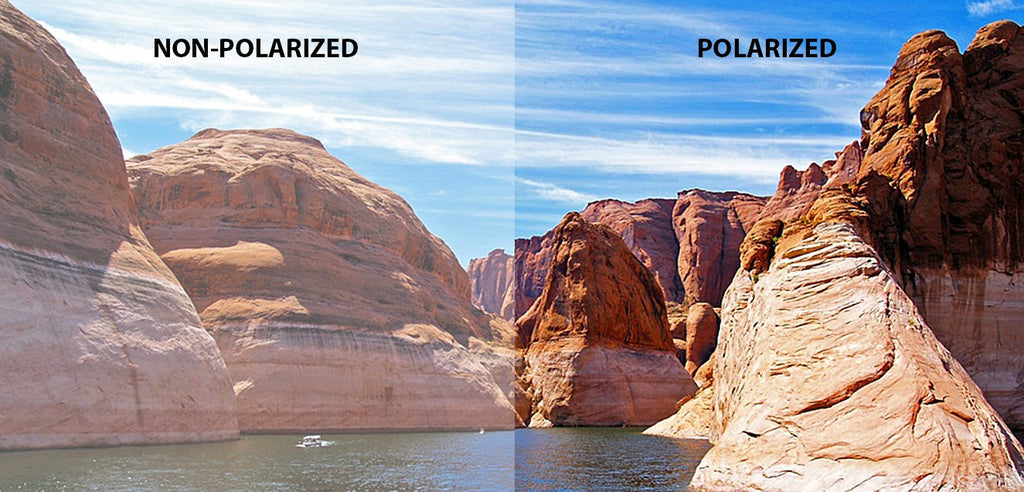 Sunglasses For Women-Frame Square--SG Sunglasses For Women-Frame Square--SG