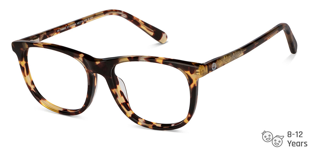 The Kids’ Collection-Frame Wayfarer--EG The Kids’ Collection-Frame Wayfarer--EG