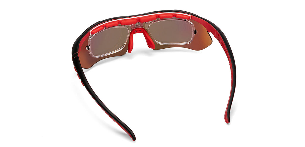 -Frame Wayfarer--SG -Frame Wayfarer--SG