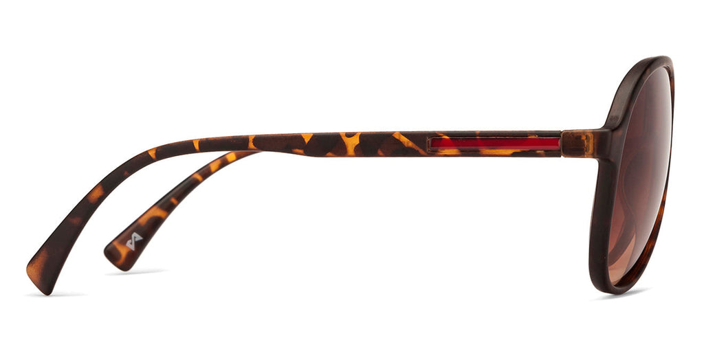 Aviator Sunglasses-Frame Aviator--SG Aviator Sunglasses-Frame Aviator--SG