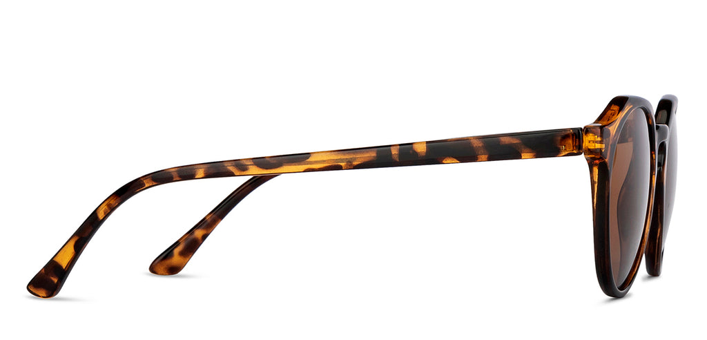 Sunglasses For Men-Frame Round--SG Sunglasses For Men-Frame Round--SG