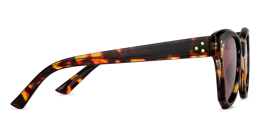 -Frame Geometric--SG -Frame Geometric--SG