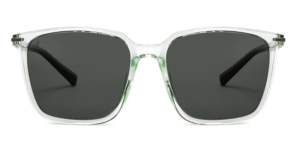 -Frame Wayfarer--SG -Frame Wayfarer--SG