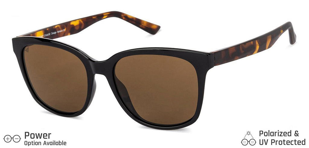 -Frame Wayfarer--SG -Frame Wayfarer--SG