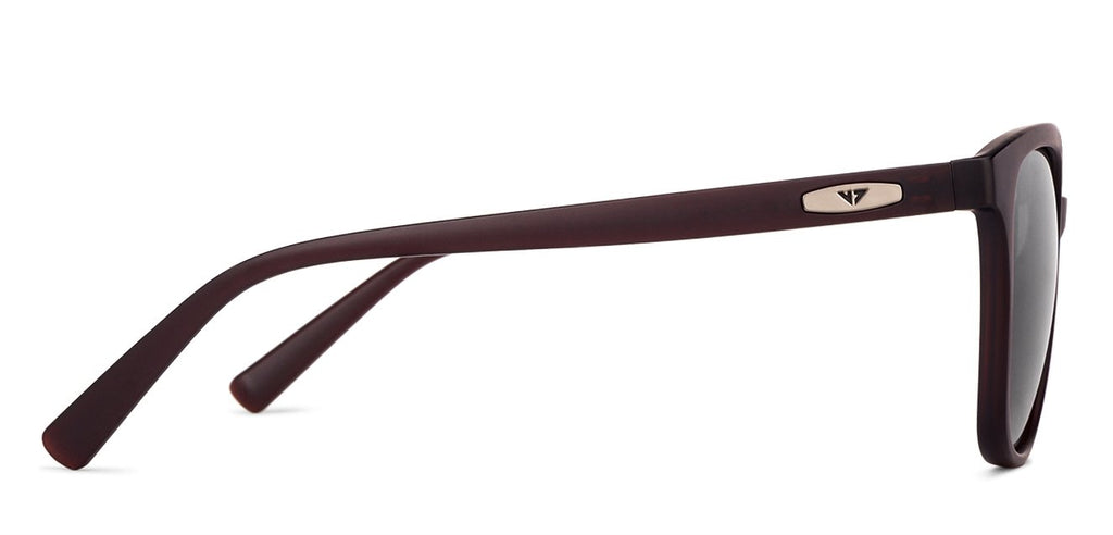 -Frame Wayfarer--SG -Frame Wayfarer--SG