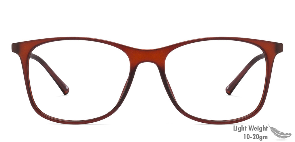 -Frame Wayfarer--EG -Frame Wayfarer--EG
