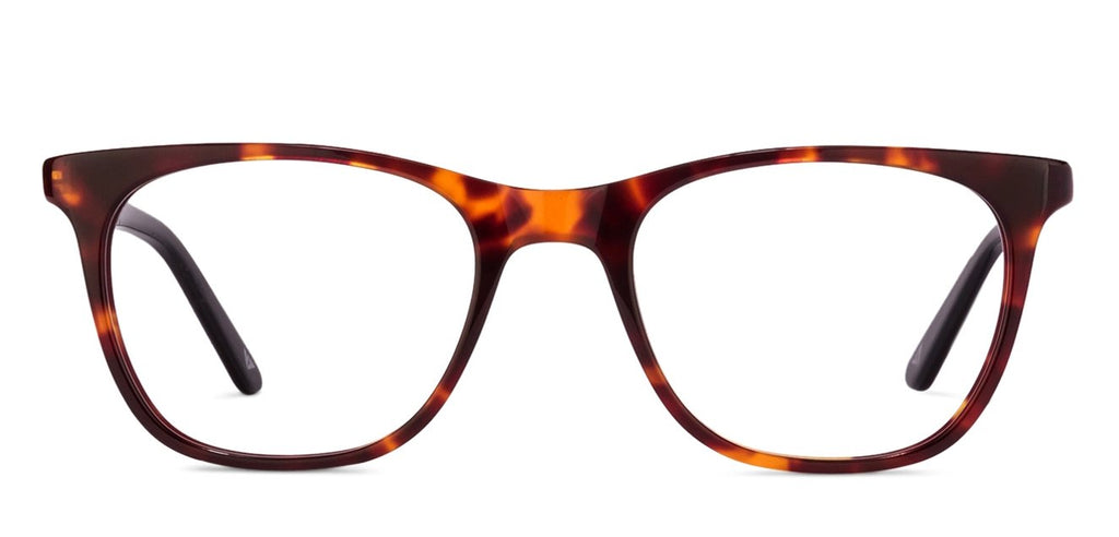 -Frame Wayfarer--EG -Frame Wayfarer--EG
