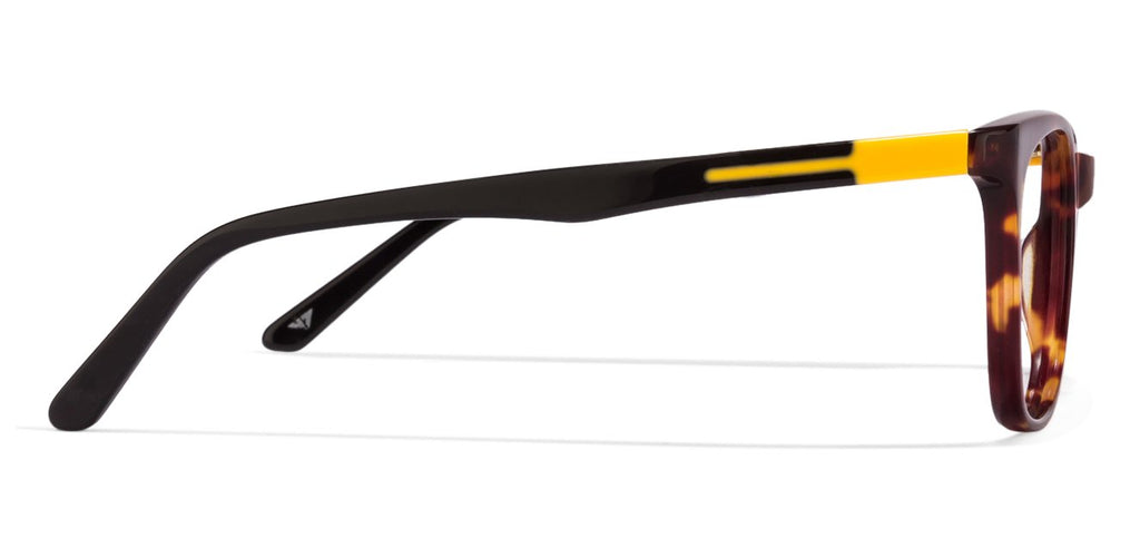 -Frame Wayfarer--EG -Frame Wayfarer--EG