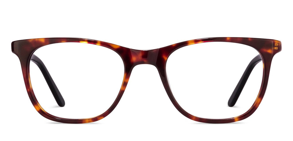 -Frame Wayfarer--EG -Frame Wayfarer--EG