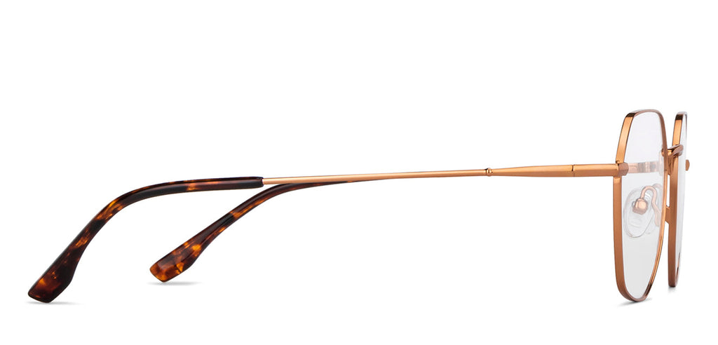 -Frame Geometric--EG -Frame Geometric--EG