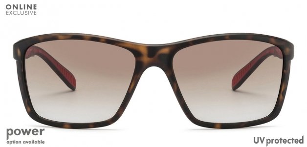 -Frame Wayfarer--SG -Frame Wayfarer--SG