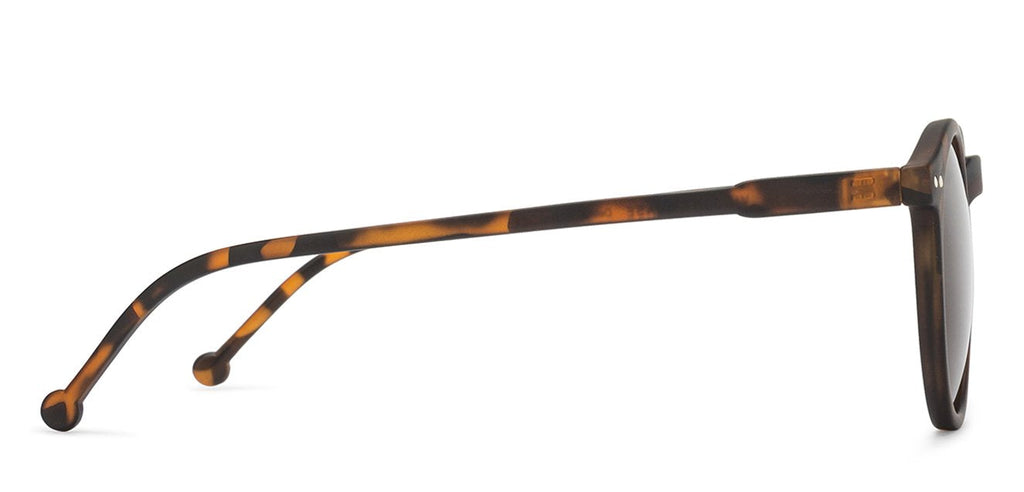 -Frame Round--SG -Frame Round--SG