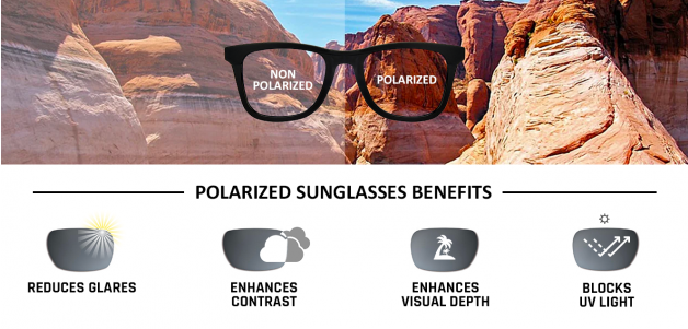 -Frame Wayfarer--SG -Frame Wayfarer--SG