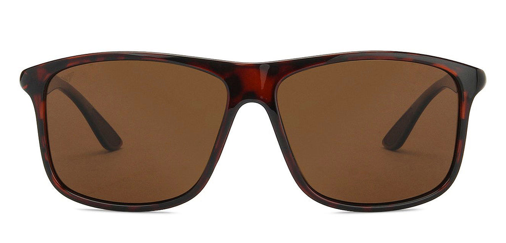 -Frame Wayfarer--SG -Frame Wayfarer--SG