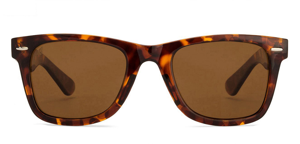 -Frame Wayfarer--SG -Frame Wayfarer--SG