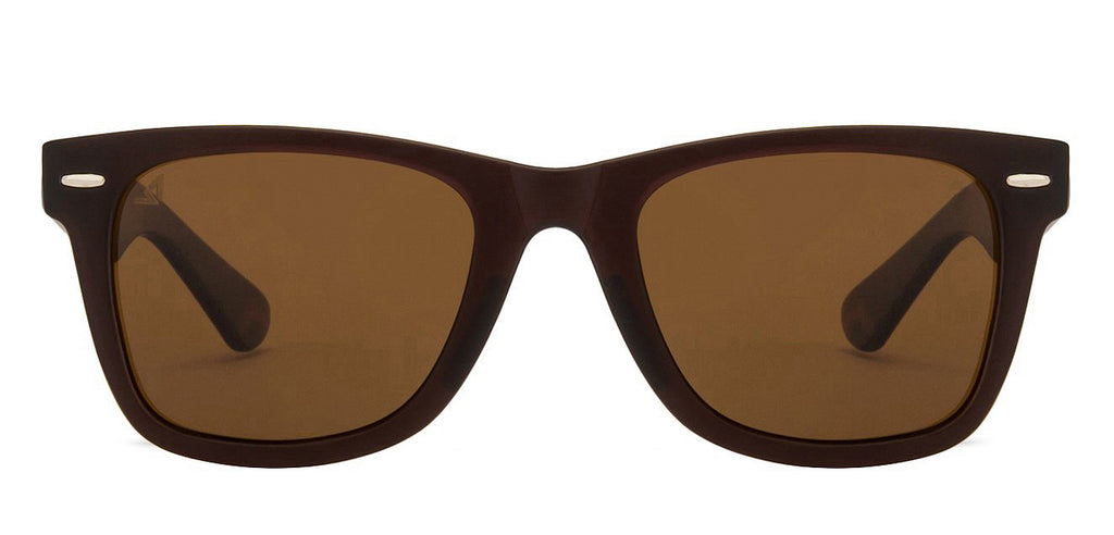 -Frame Wayfarer--SG -Frame Wayfarer--SG