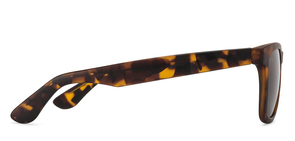 Sunglasses For Men-Frame Wayfarer--SG Sunglasses For Men-Frame Wayfarer--SG