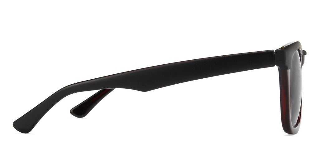 -Frame Wayfarer--SG -Frame Wayfarer--SG