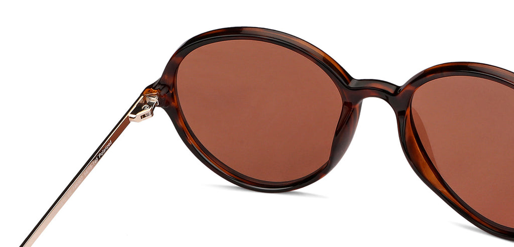 -Frame Round--SG -Frame Round--SG
