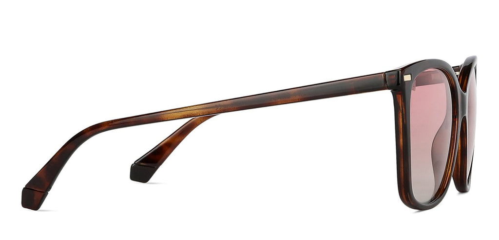 -Frame Wayfarer--SG -Frame Wayfarer--SG