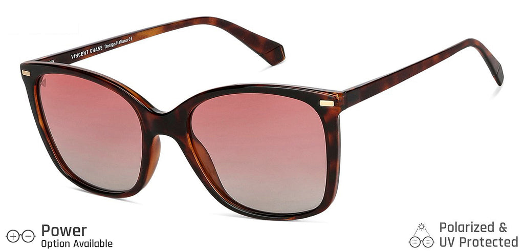 -Frame Wayfarer--SG -Frame Wayfarer--SG