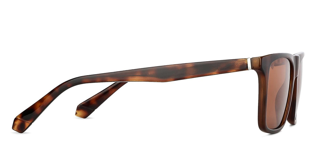 -Frame Wayfarer--SG -Frame Wayfarer--SG
