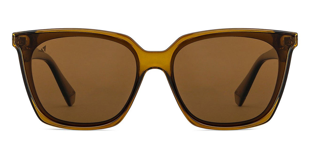 -Frame Wayfarer--SG -Frame Wayfarer--SG