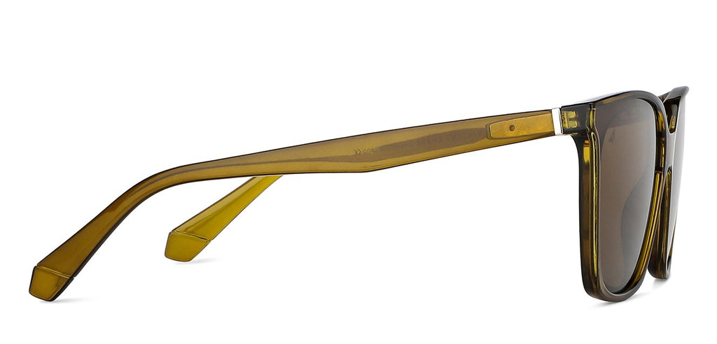 -Frame Wayfarer--SG -Frame Wayfarer--SG