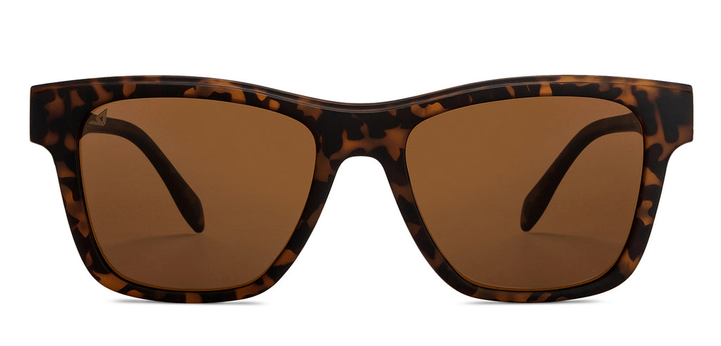 Sunglasses For Women-Frame Wayfarer--SG Sunglasses For Women-Frame Wayfarer--SG