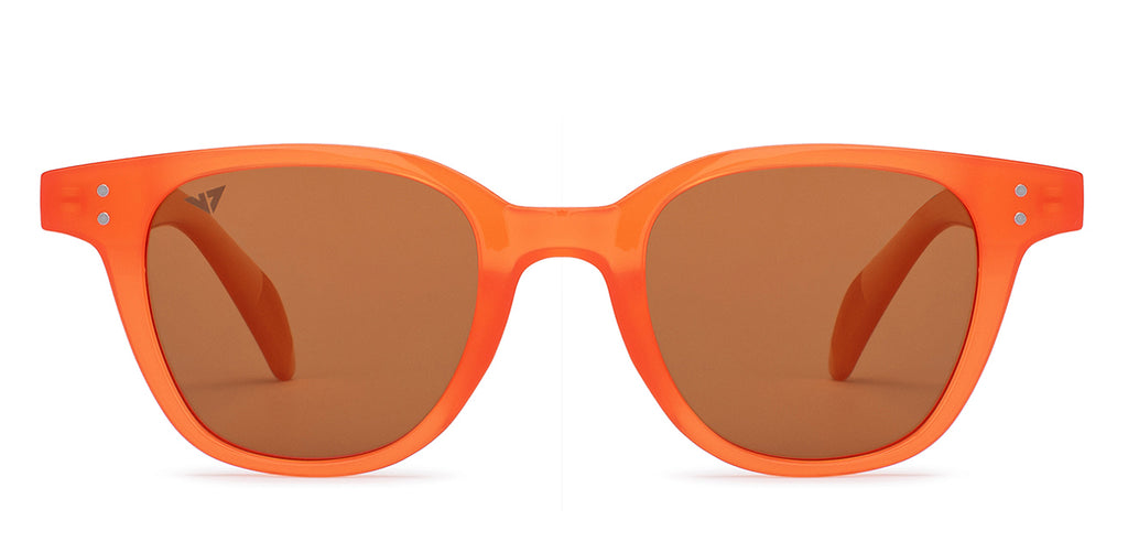 -Frame Wayfarer--SG -Frame Wayfarer--SG
