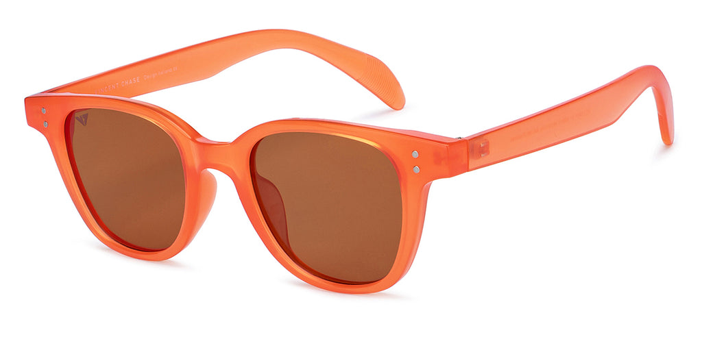 -Frame Wayfarer--SG -Frame Wayfarer--SG