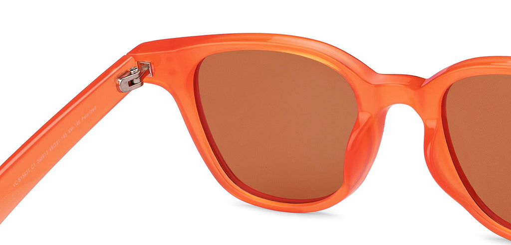 -Frame Wayfarer--SG -Frame Wayfarer--SG