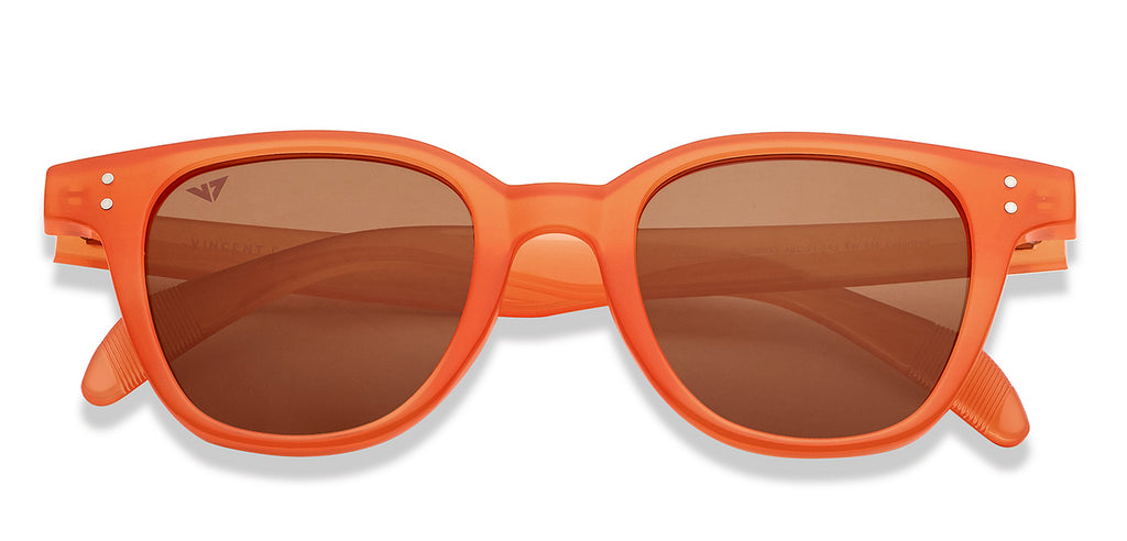 -Frame Wayfarer--SG -Frame Wayfarer--SG