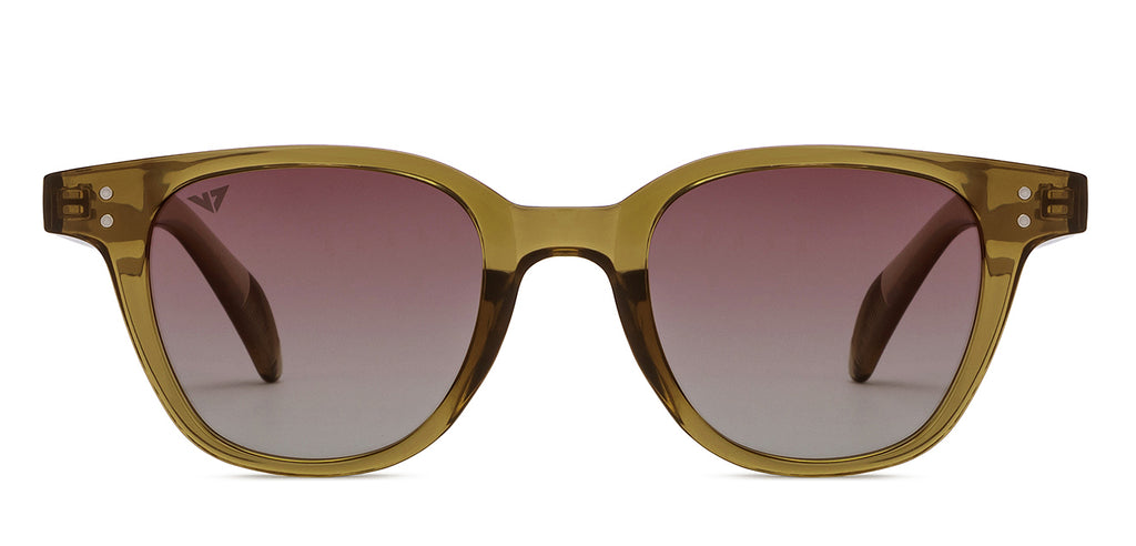 -Frame Wayfarer--SG -Frame Wayfarer--SG