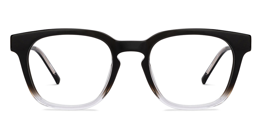 Dual Tone-Frame Wayfarer--EG