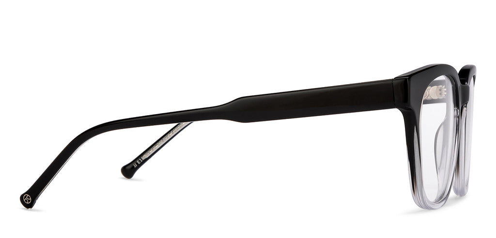 Dual Tone-Frame Wayfarer--EG