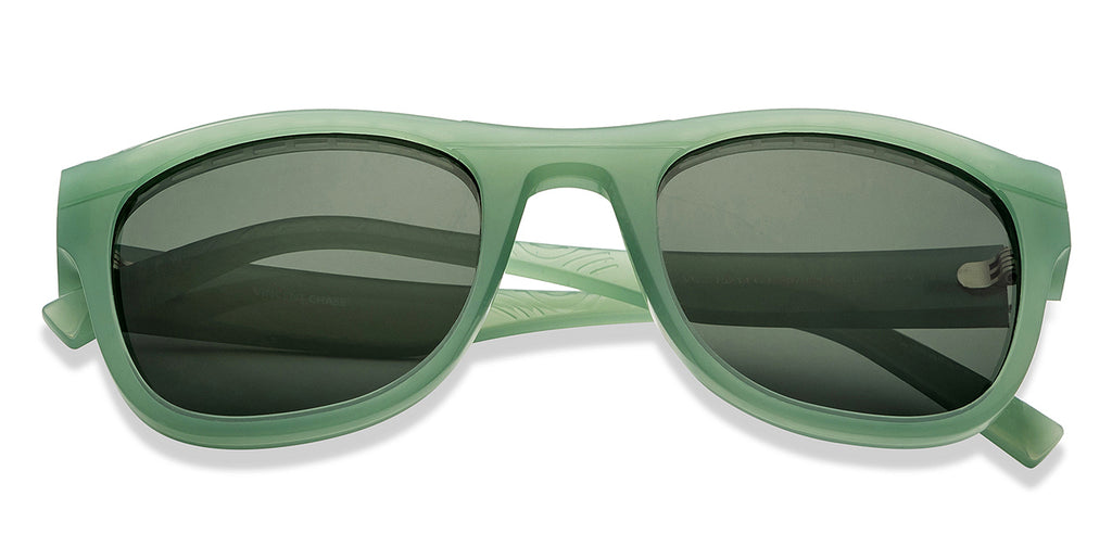 -Frame Wayfarer--SG