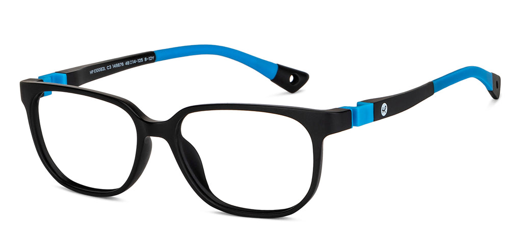 Dual Tone-Frame Wayfarer--EG