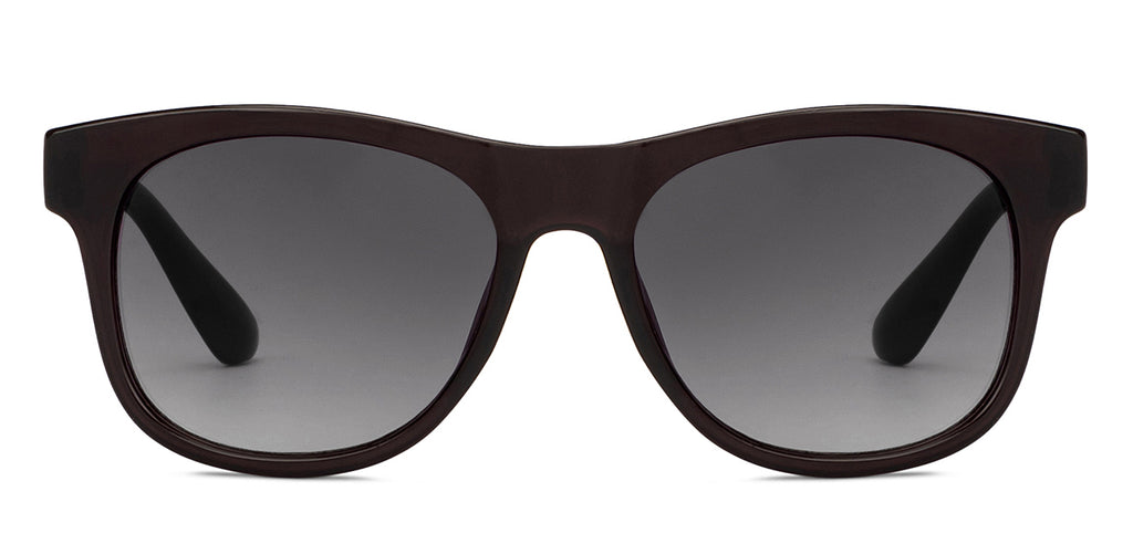 -Frame Wayfarer--SG